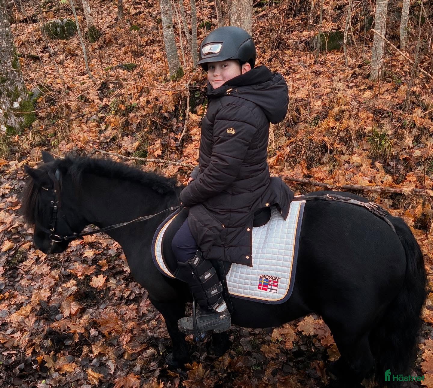  foderhäst Finns ponnyn för oss? i Norrtälje - Annons 17