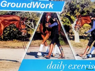 hästjobb A new vacancy in Ireland - Annons 2