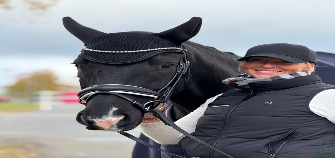 Galleribild {{count}}