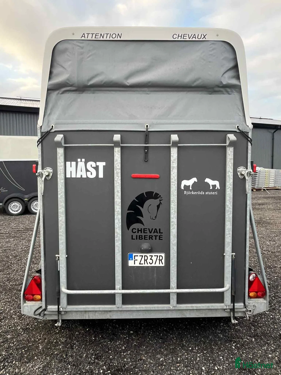 Hästtransporter  fordon & transport till salu: Fin hästtransport utan sadelkammare i Löderup - Annons 2