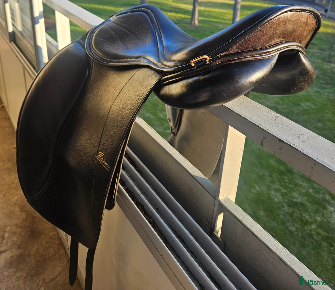 Sadlar hästutrustning till salu: Fin hrimnir  - Annons 4