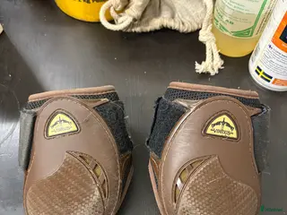 Benskydd hästutrustning Verdus Grand Slam Bakskydd - Annons 4