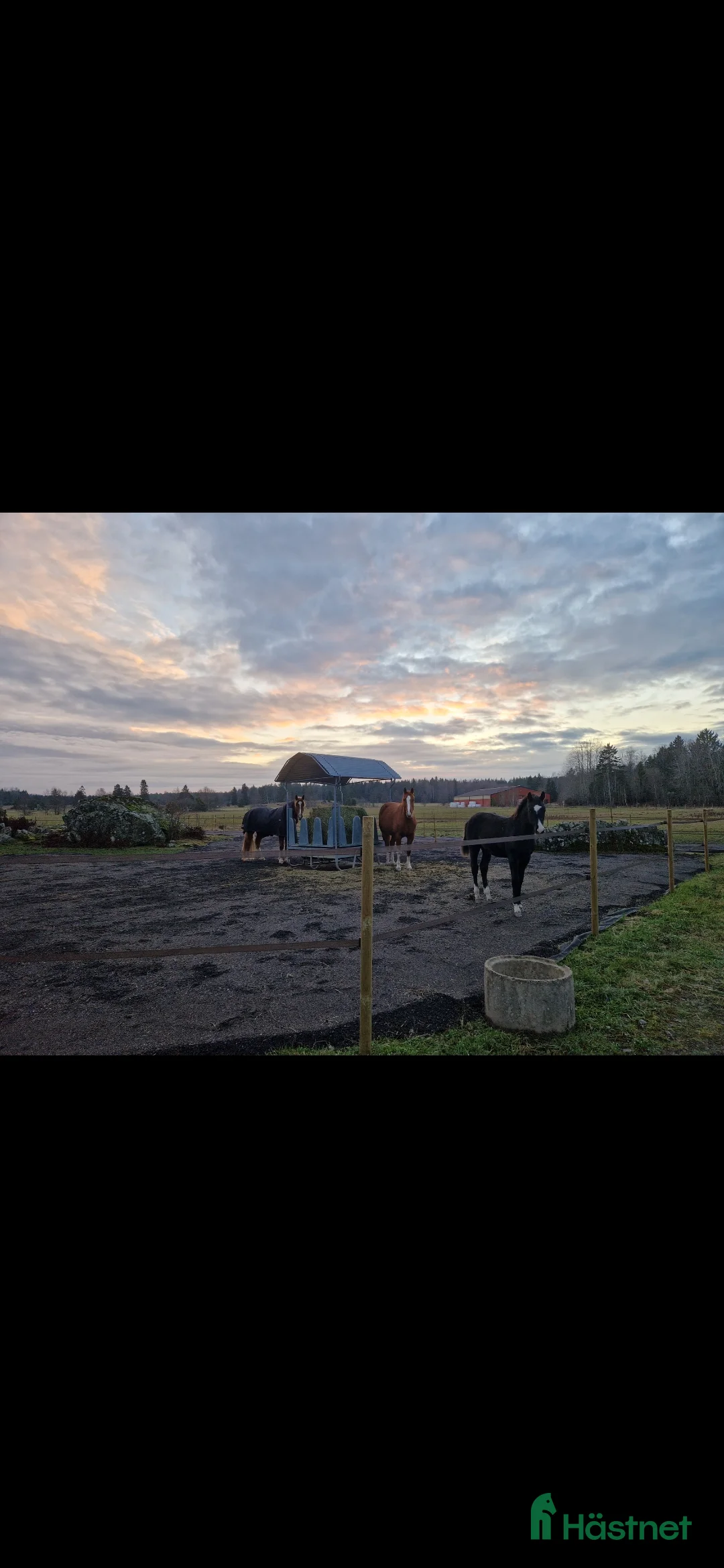  stallplats finnes: Boxplats med ridhus och stora hagar❄️ i Uppsala - Annons 5
