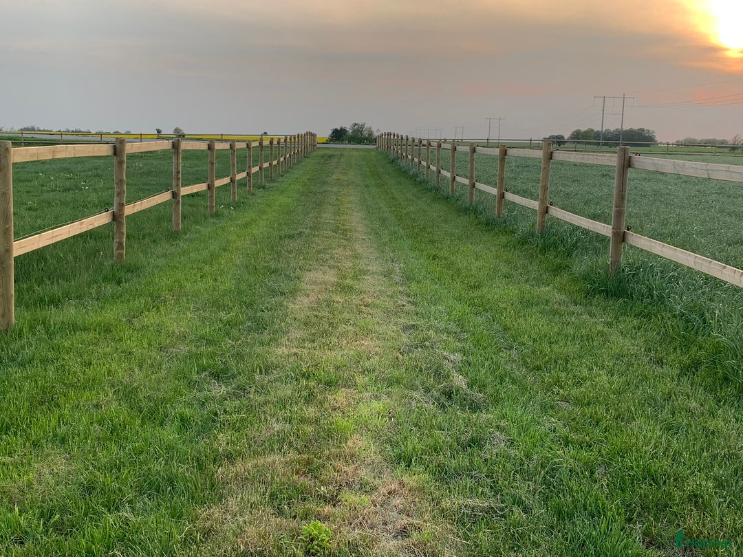  stallplats finnes: Stallplats ledig i Trelleborg - Bild 4