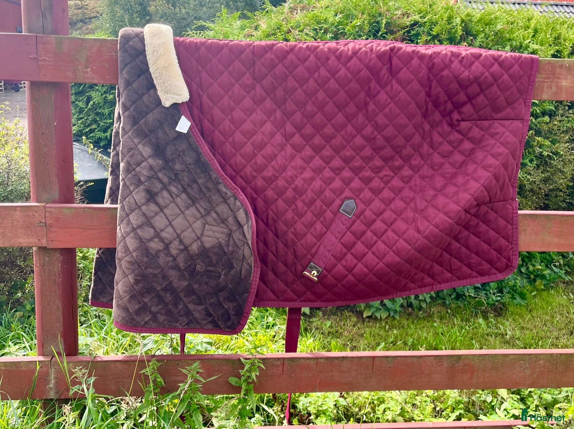 Täcken hästutrustning Stable rug 400g  - Annons 6