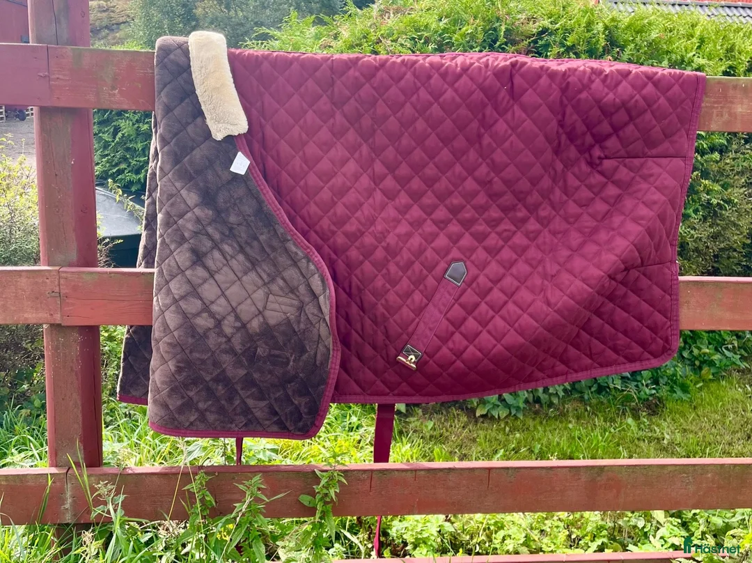 Täcken hästutrustning till salu: Stable rug 400g  - Annons 1