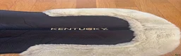 Schabrak & Vojlockar hästutrustning till salu: Sadelpadd kentucky memory foam i Nyköping - Annons 3