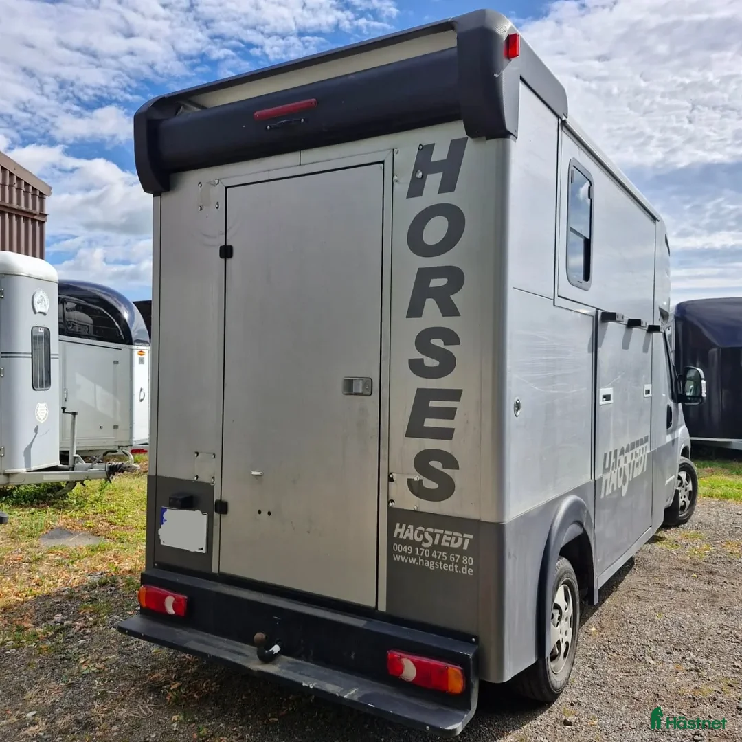 Hästtransporter  fordon & transport till salu:  Peugeot Boxer MSG Stablehopper i Borås - Annons 6