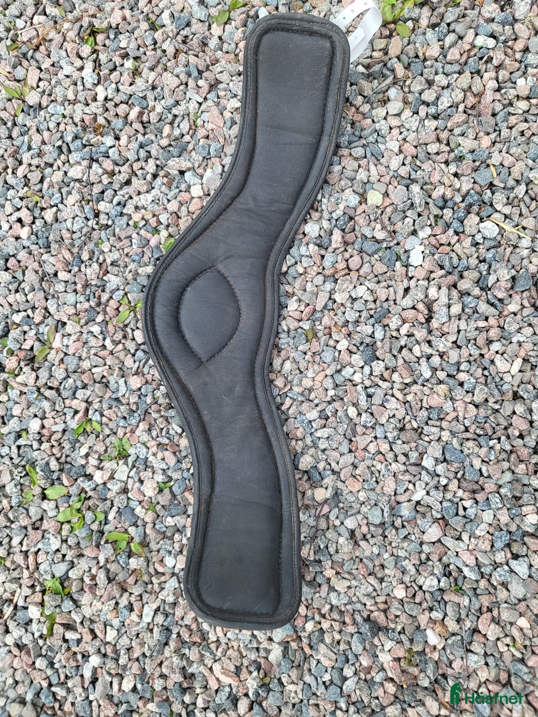 Sadeltillbehör hästutrustning till salu: Prolite Performance Dressyrgjord 55 cm i Heby - Annons 2