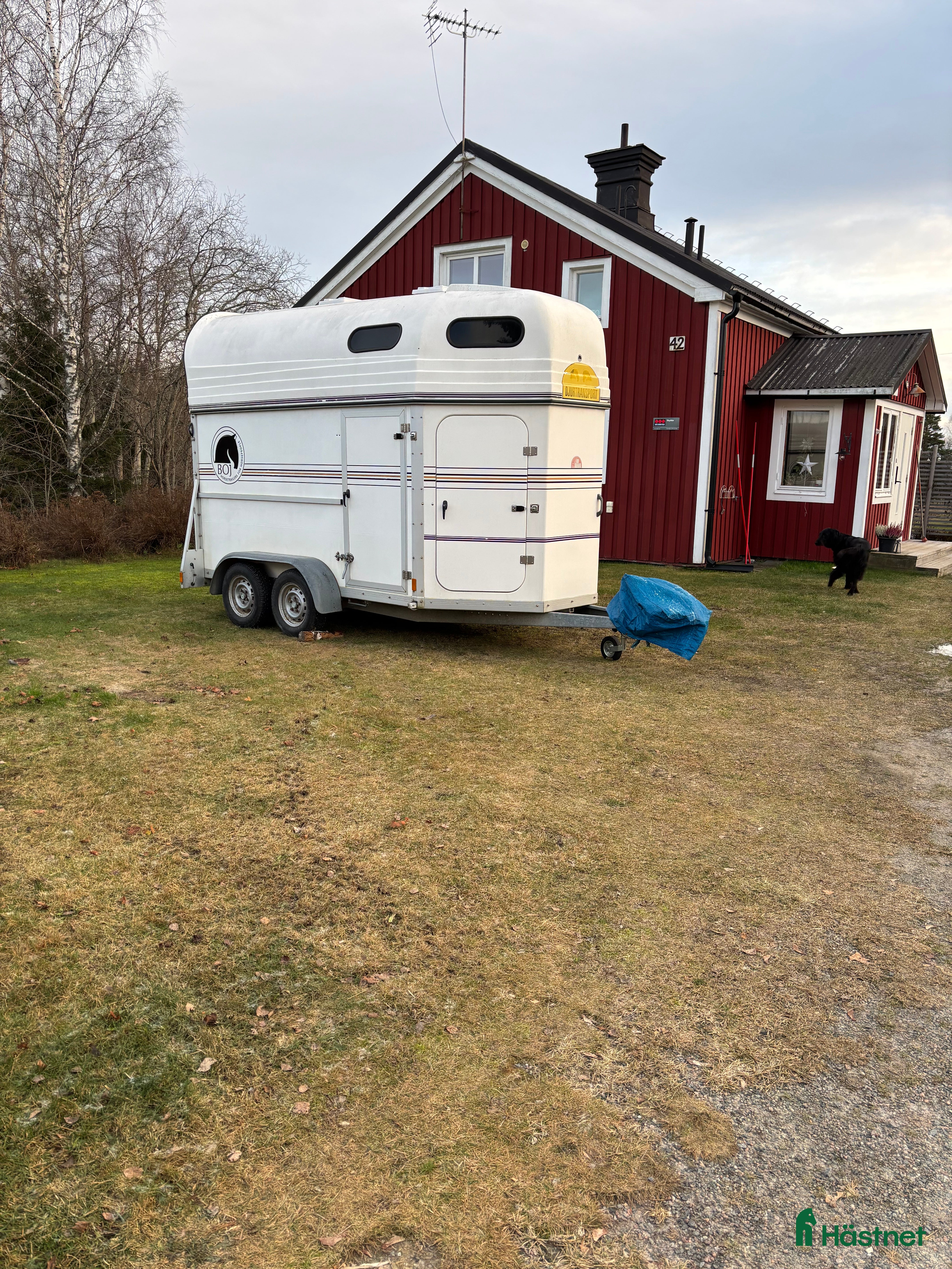 Hästtransporter  fordon & transport till salu: Mycket fin hästtransport - Annons 4