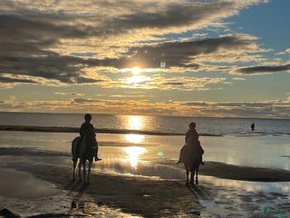 hästservice Ridläger sommaren 2026 på www.kyrkobacka.se i Lidköping - Annons 5