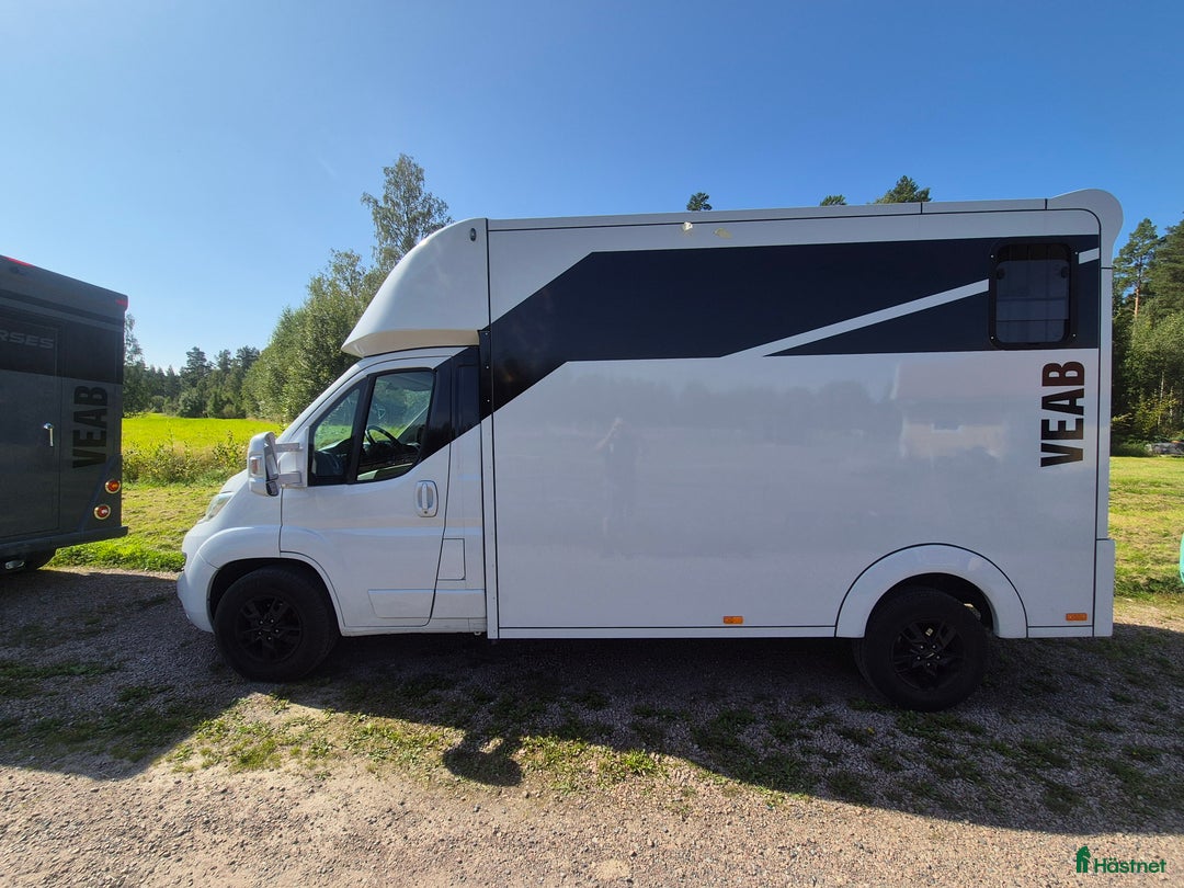 Hästlastbilar  fordon & transport till salu: Bkortsbuss under 6m foderbord i Falun - Annons 3