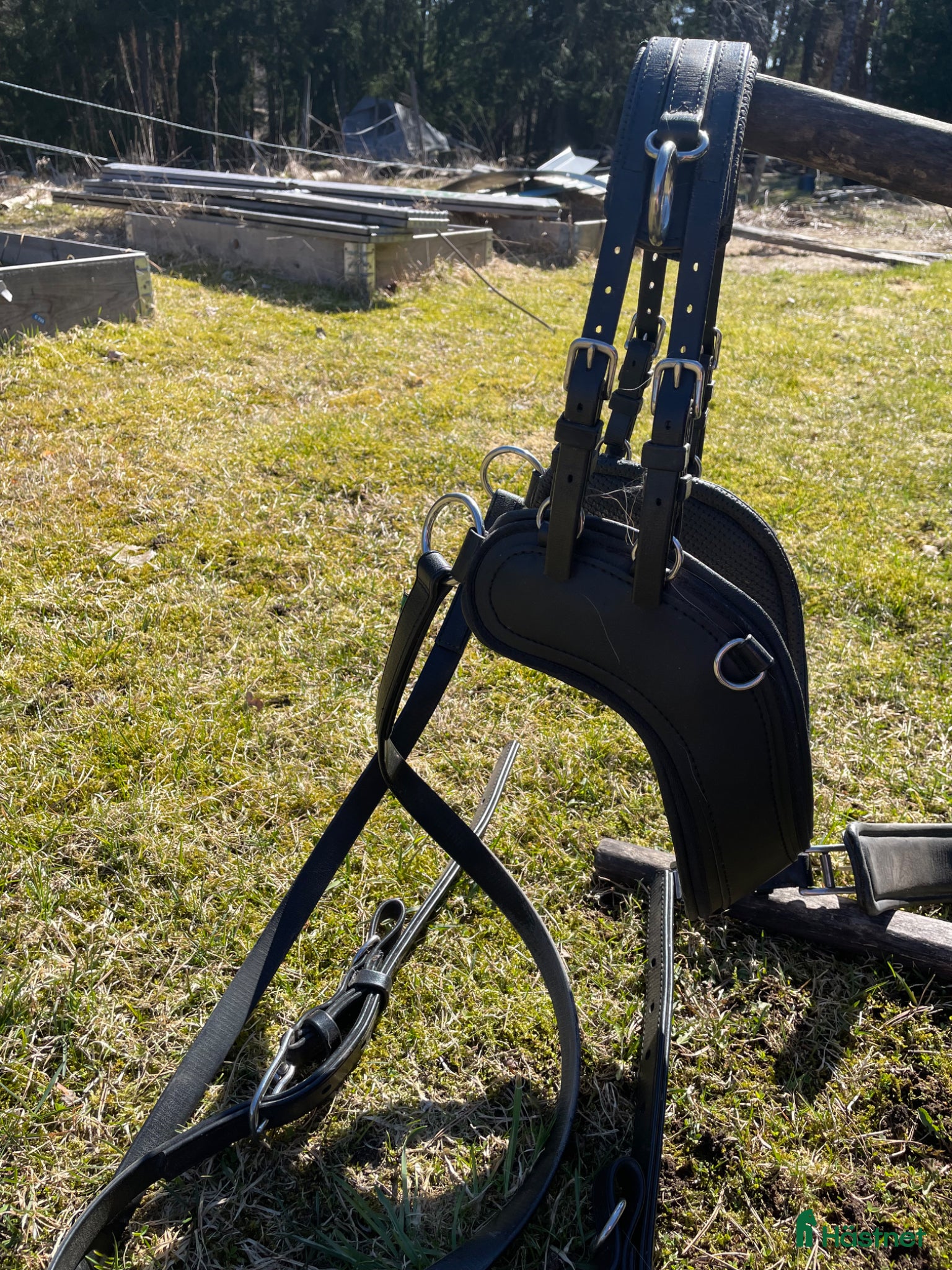 Körselar körning till salu: Idealsele strl Shetland - Annons 2