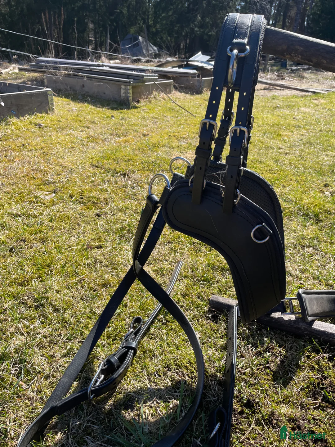 Körselar körning till salu: Idealsele strl Shetland - Annons 1