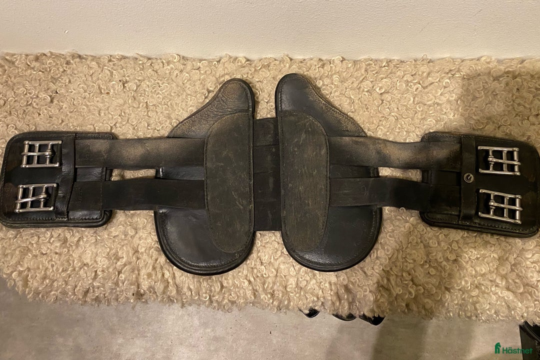 Sadeltillbehör hästutrustning till salu: Fairfield dressyrgjord i Falun - Annons 1