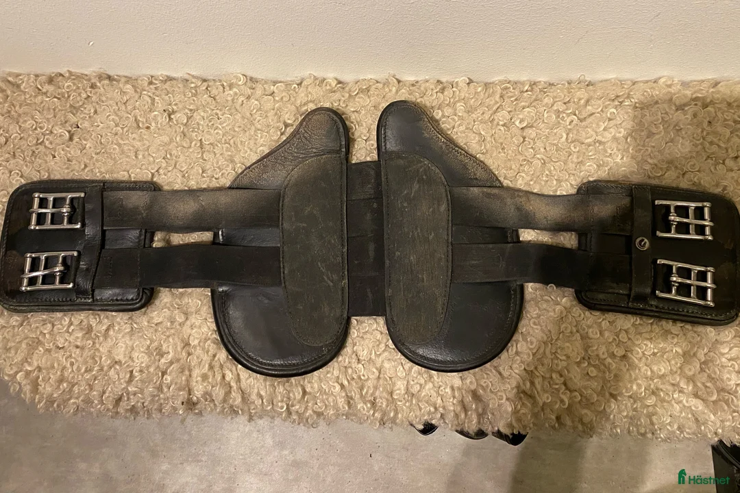 Sadeltillbehör hästutrustning till salu: Fairfield dressyrgjord i Falun - Annons 1