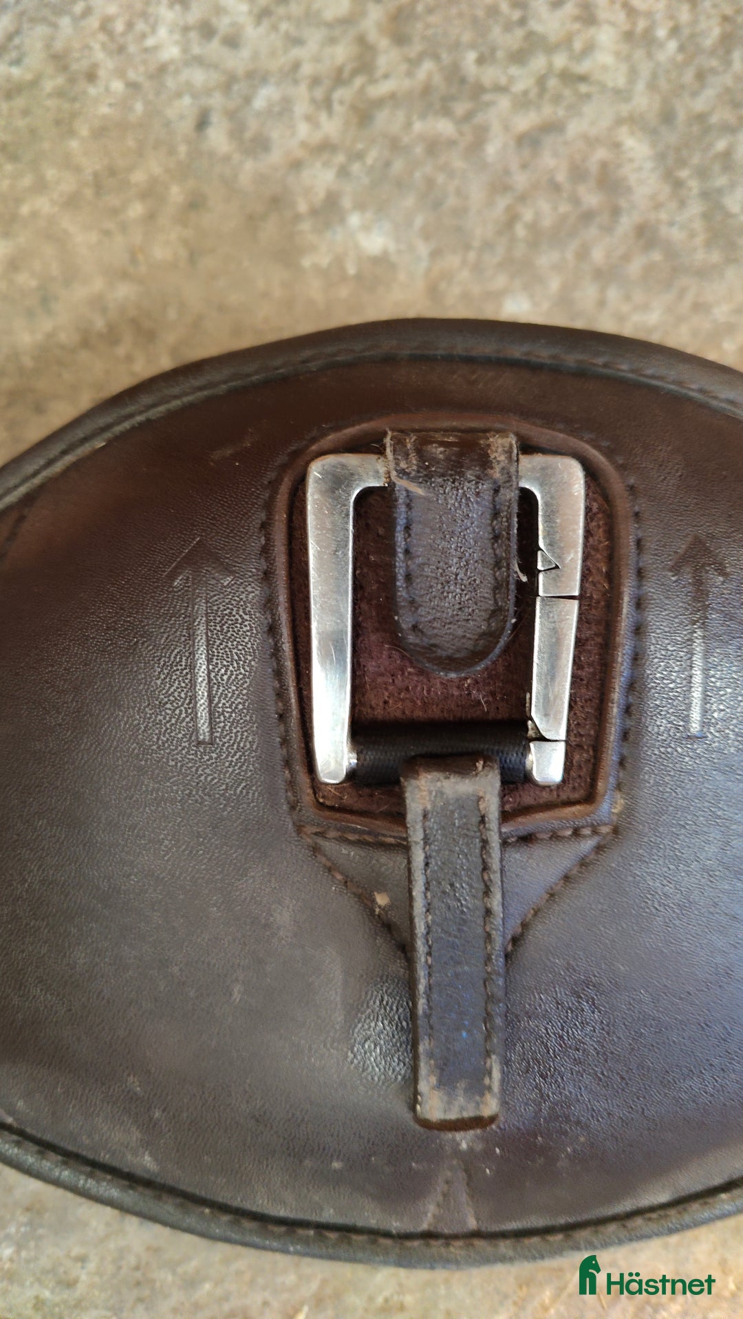 Sadeltillbehör hästutrustning till salu: Wintec Cair dressyrgjord  i Skellefteå - Annons 4