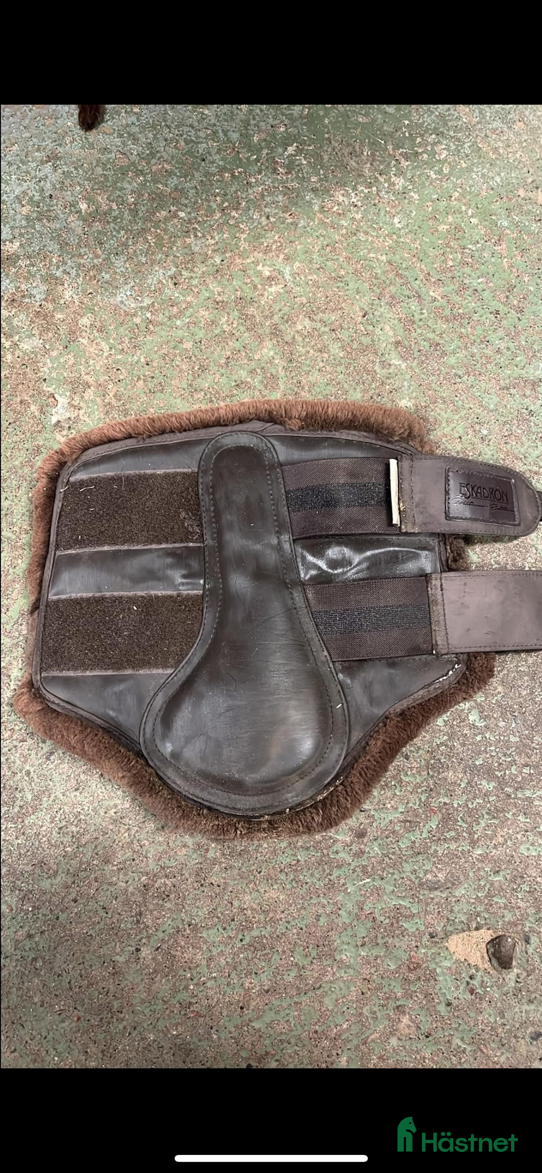 Benskydd hästutrustning till salu: Eskadron skydd i Karlstad - Annons 2