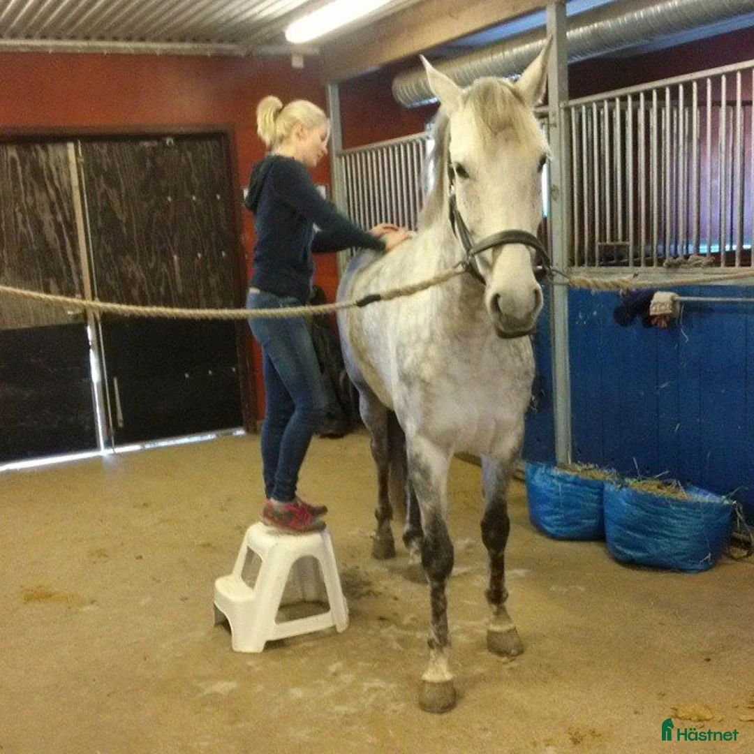 Galleribild {{count}}