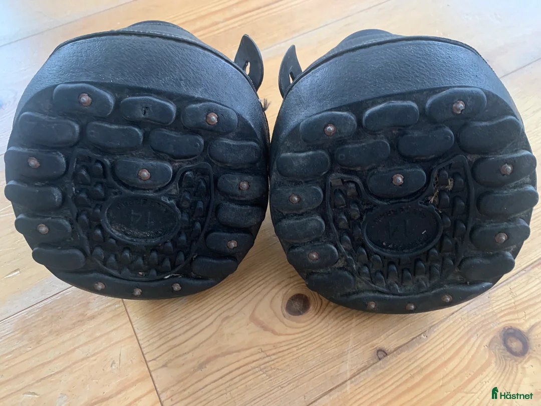 Övrig utrustning övrig utrustning till salu: Equine fusion R14 ink. Frakt i Veddige - Annons 2