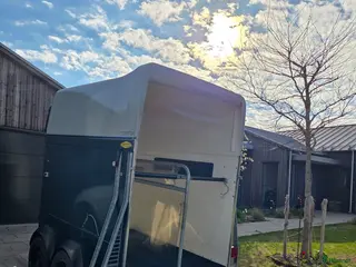 Hästtransporter fordon & transport till salu: Böckmann Comfort (glasfibervagn) - Annons 1