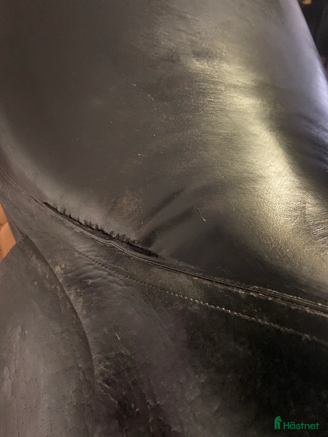 Sadlar hästutrustning till salu: Jaguar xkc i Blentarp - Annons 3