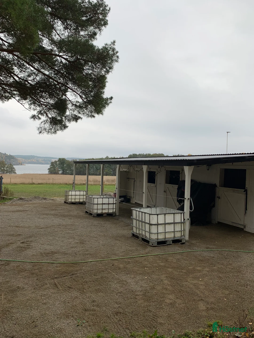  stallplats finnes: Stall med havsutsikt - Annons 2