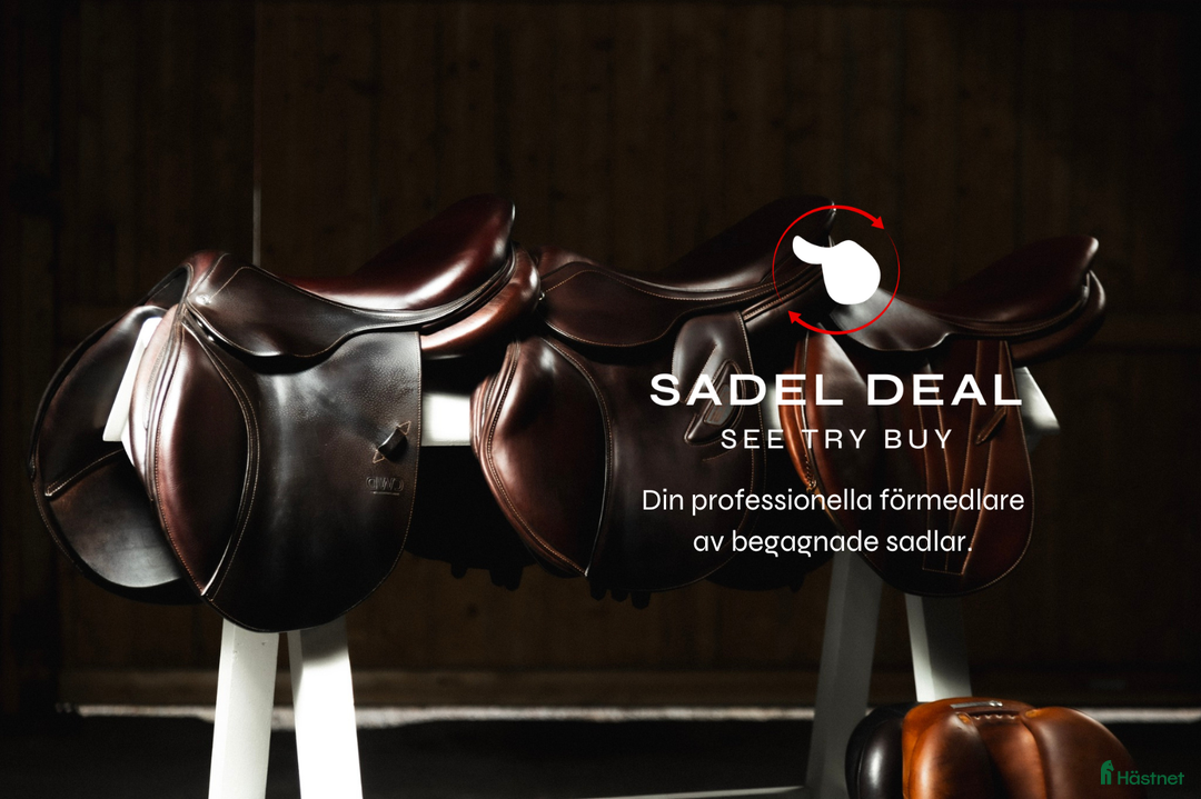 Galleribild {{count}}