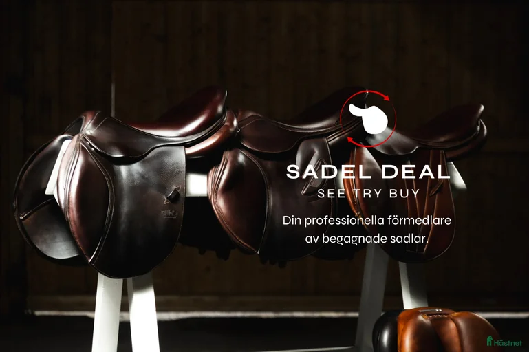 Galleribild {{count}}