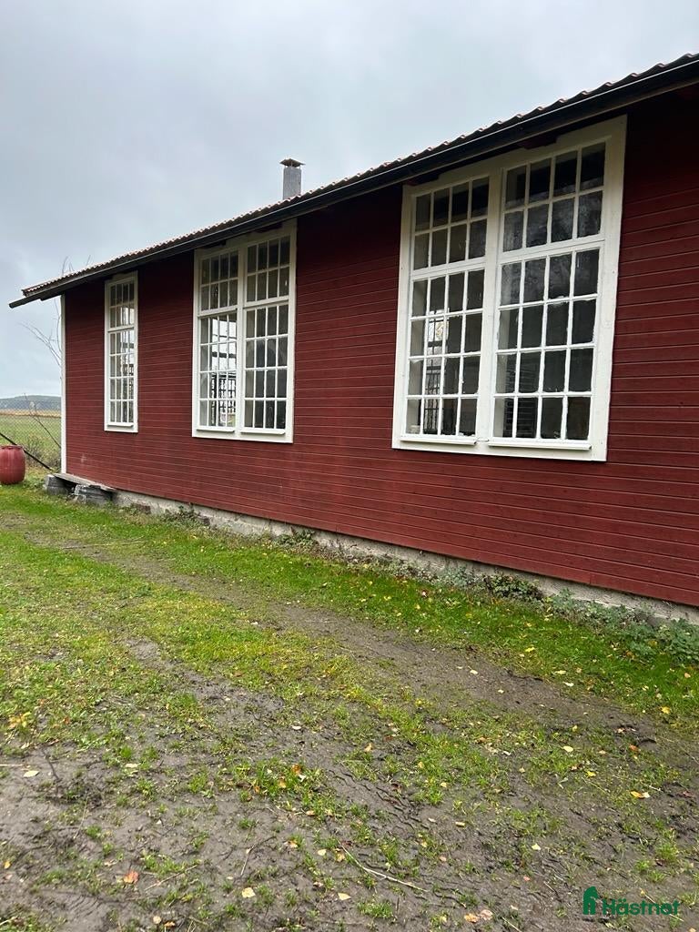  stallplats finnes: Ledig Stallplats - Annons 6