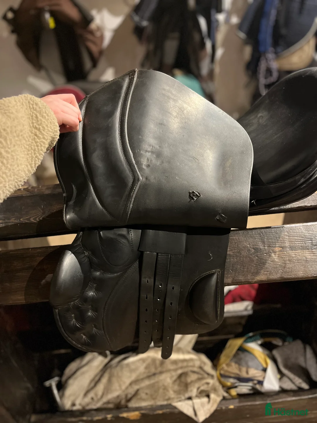 Sadlar hästutrustning till salu: Snygg sadel till salu  i Norrköping - Annons 6