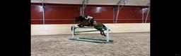  stallplats finnes: Ledigt i litet privatstall  - Annons 4