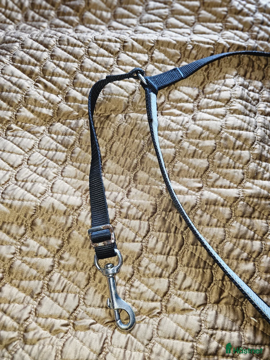 Sadeltillbehör hästutrustning till salu: Förbygel i nylon i Söråker - Annons 5