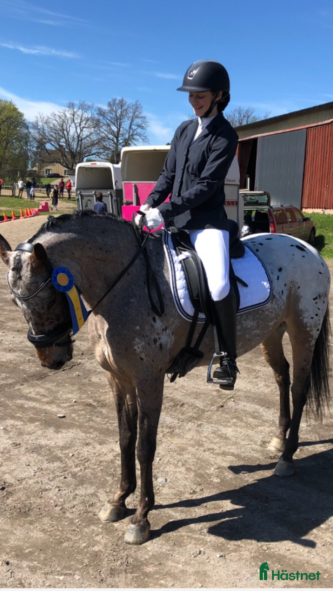  foderhäst finnes: C-ponny utlånas till sällskap i Täby - Annons 1