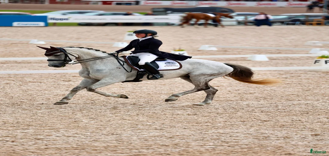 Galleribild {{count}}