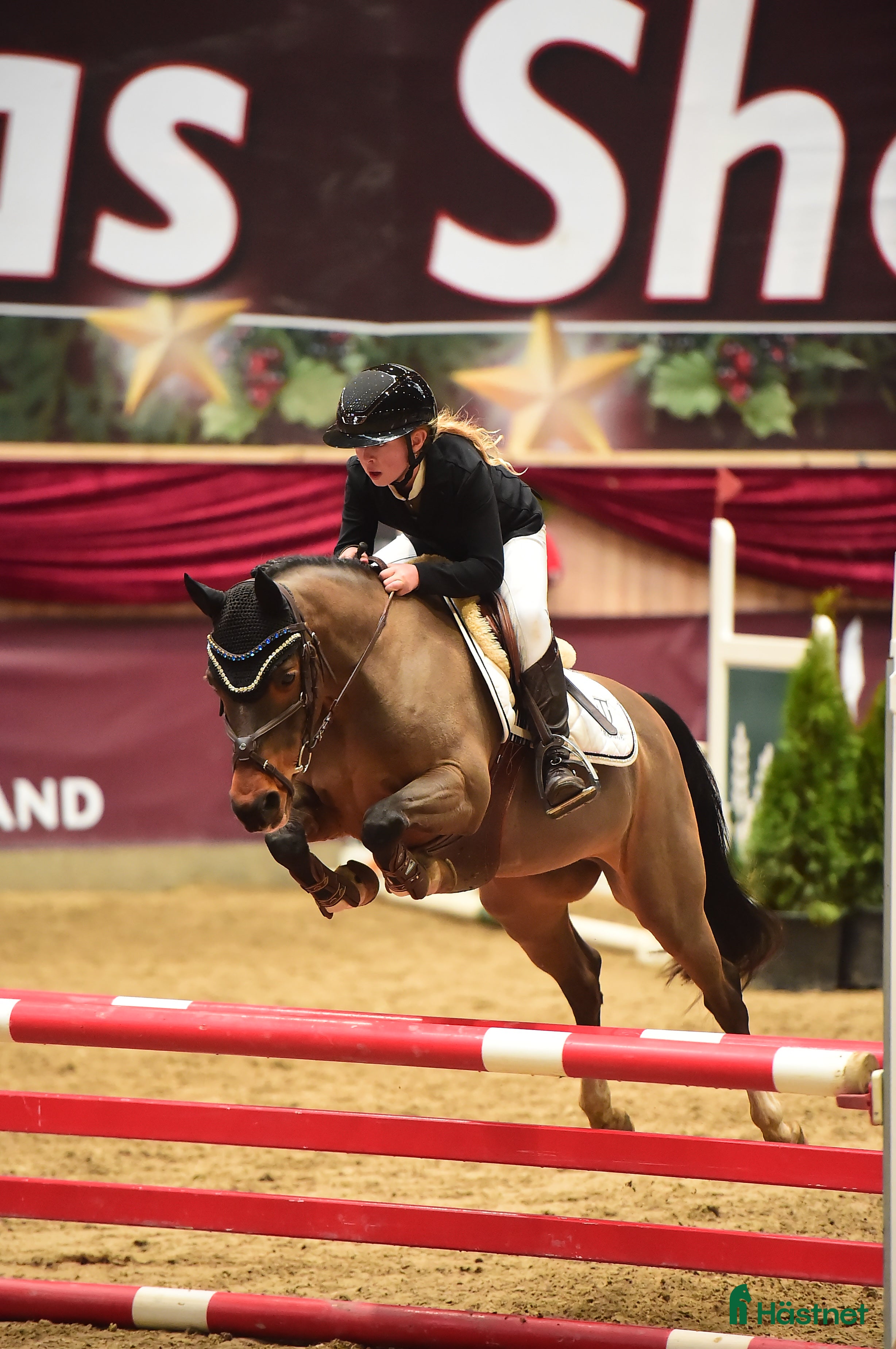  hästar Yndig kat. 2 pony med kapacitet  - Annons 1