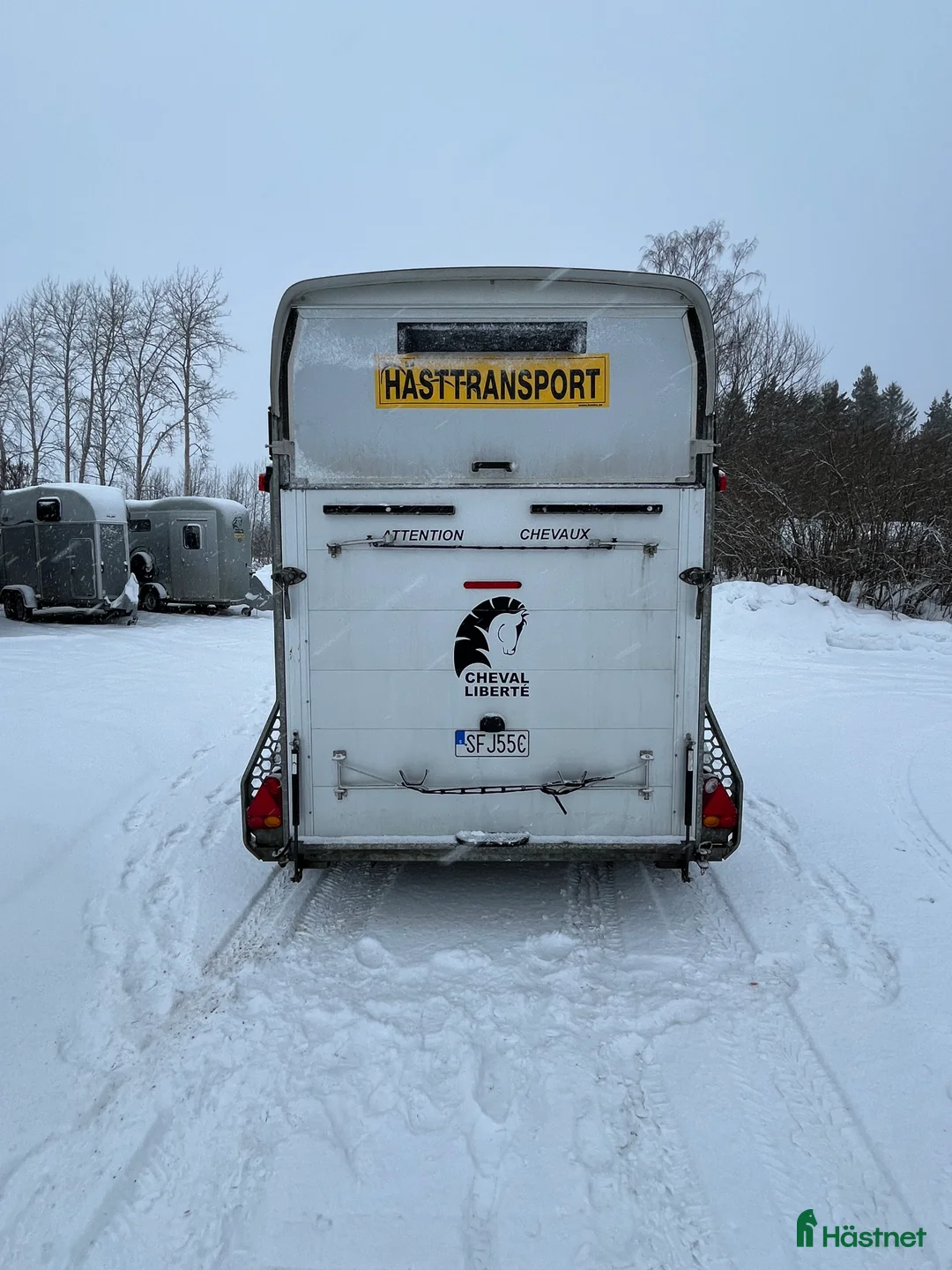 Hästtransporter  fordon & transport till salu: Cheval Gold  i Sundsvall - Annons 4