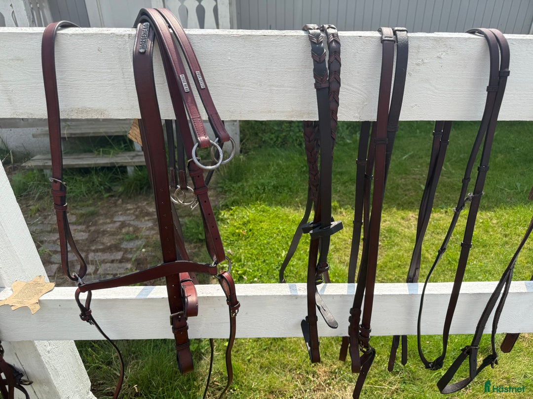 Träns hästutrustning till salu: Horse Head i Linköping - Annons 2