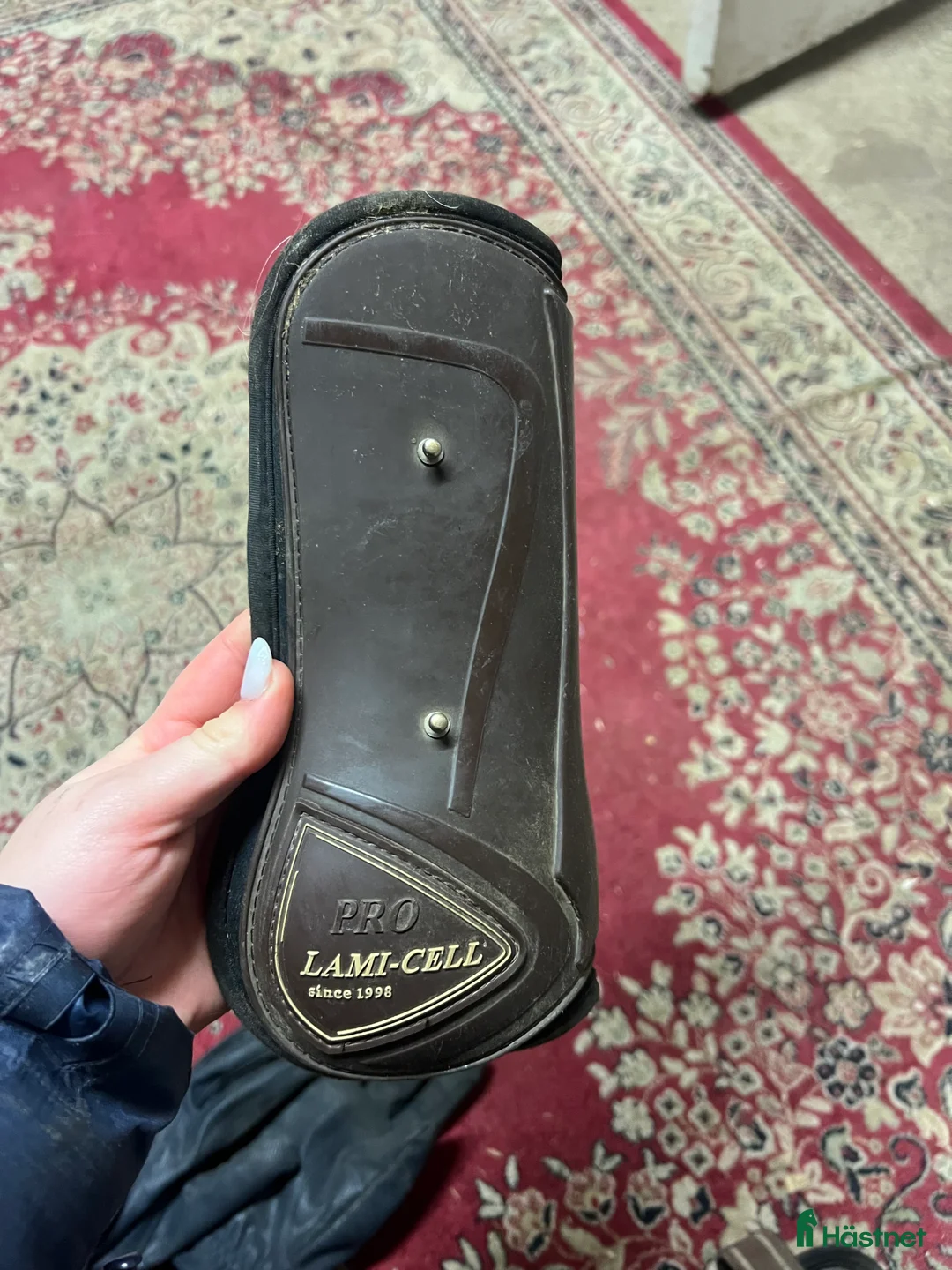 Benskydd hästutrustning till salu: Lamicell benskydd - Annons 3