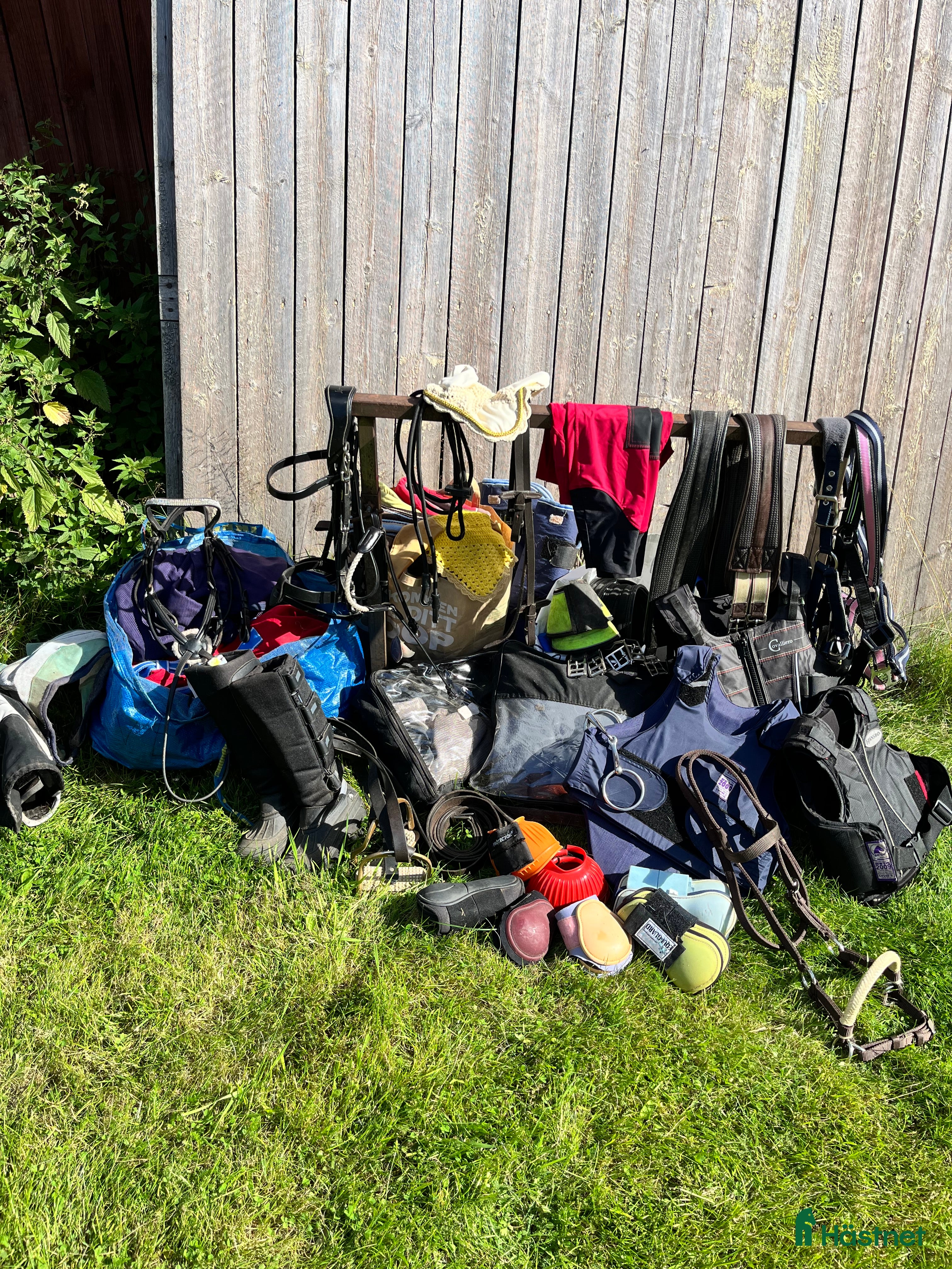 Övrig Hästutrustning hästutrustning till salu: Blandade hästsaker! i Äppelbo - Annons 18