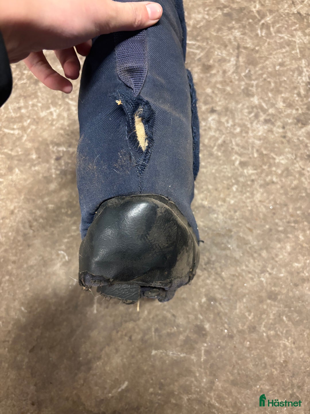 Benskydd hästutrustning till salu: Kingsland transportskydd  i Vinninga - Annons 13