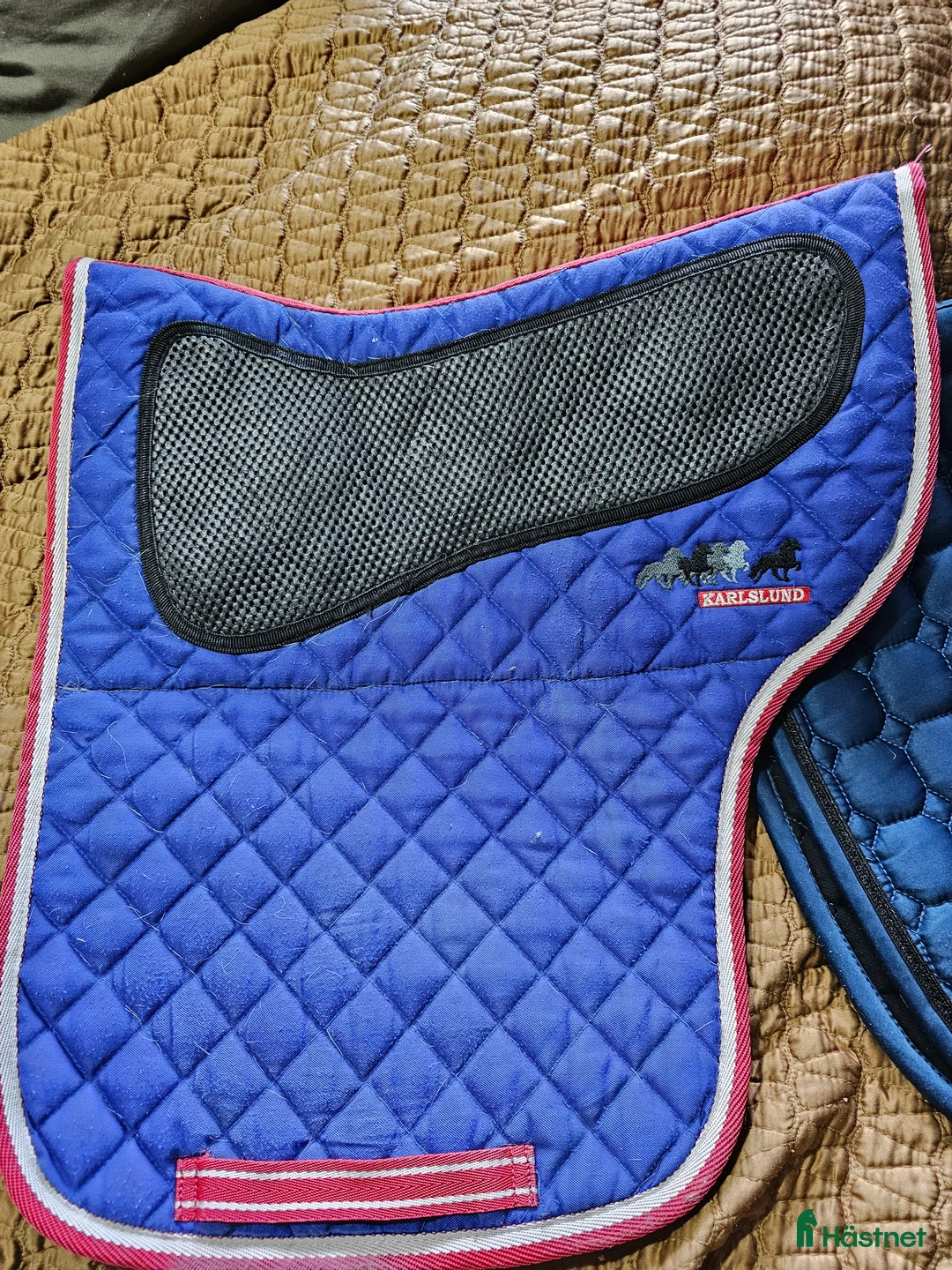 Schabrak & Vojlockar hästutrustning till salu: Catago vojlock i Söråker - Annons 9