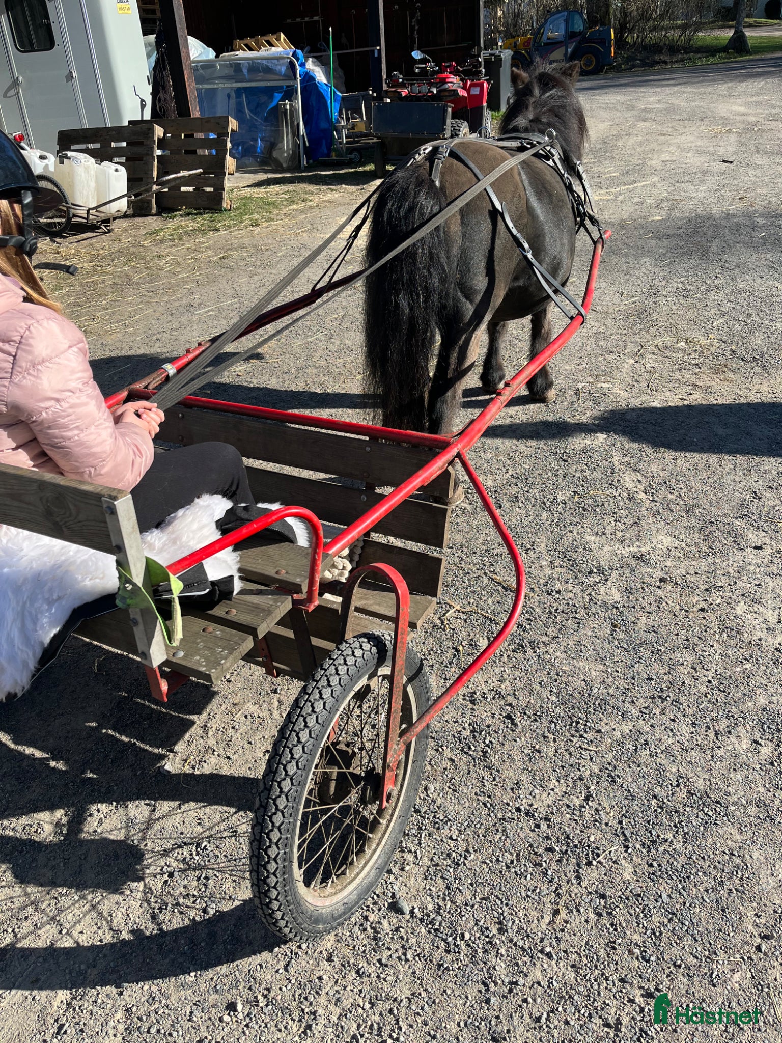 Övrig Hästutrustning hästutrustning Utrustning Shetland ponny - Annons 11