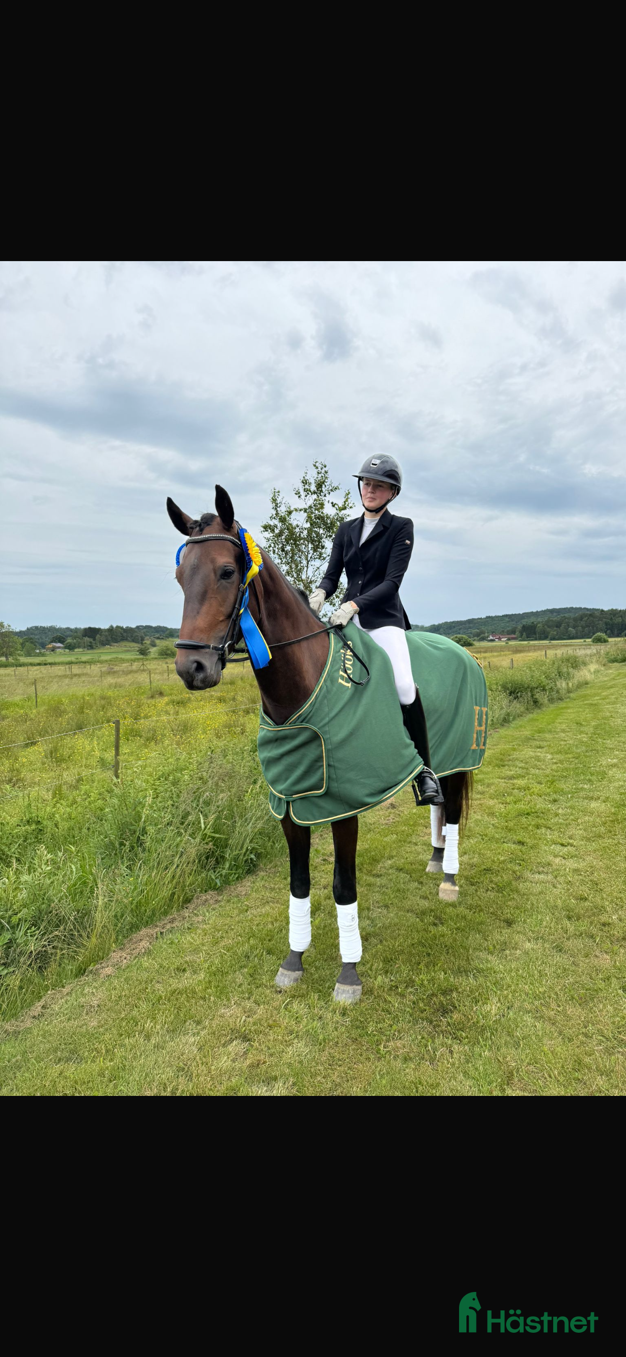  hästar Bästa vän till träning eller tävling  i Kode - Annons 6