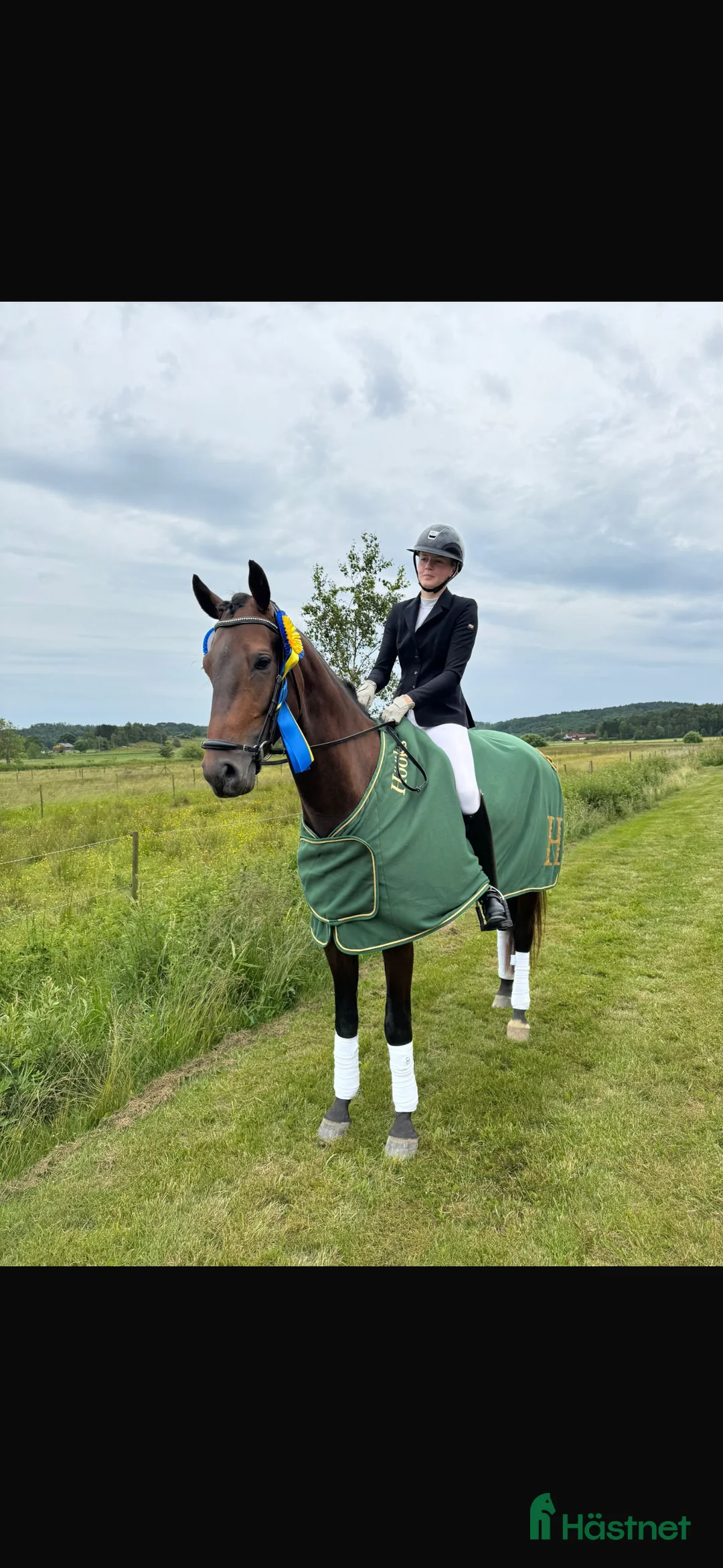 Dressyr hästar till salu: Bästa vän till träning eller tävling  i Kode - Annons 1