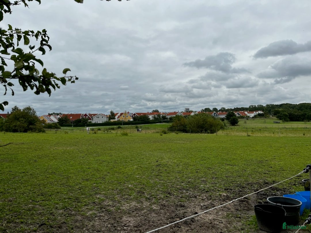  stallplats finnes: Stallplats vid St Hans backar, Lund i Lund - Annons 2