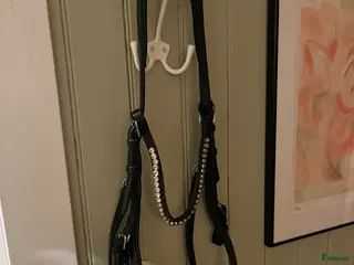 Träns hästutrustning Micklem competition träns - Annons 1