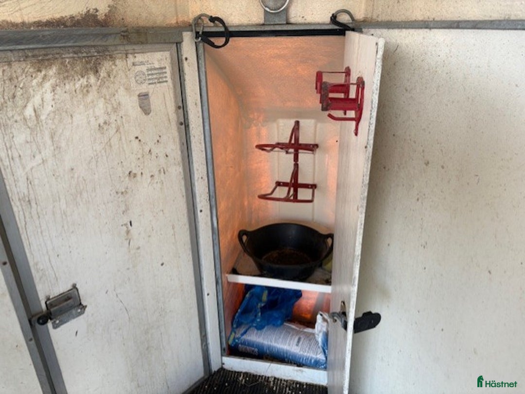 Hästtransporter  fordon & transport till salu: Star Trailer Safir - Hästtransport i Storvreta - Annons 10