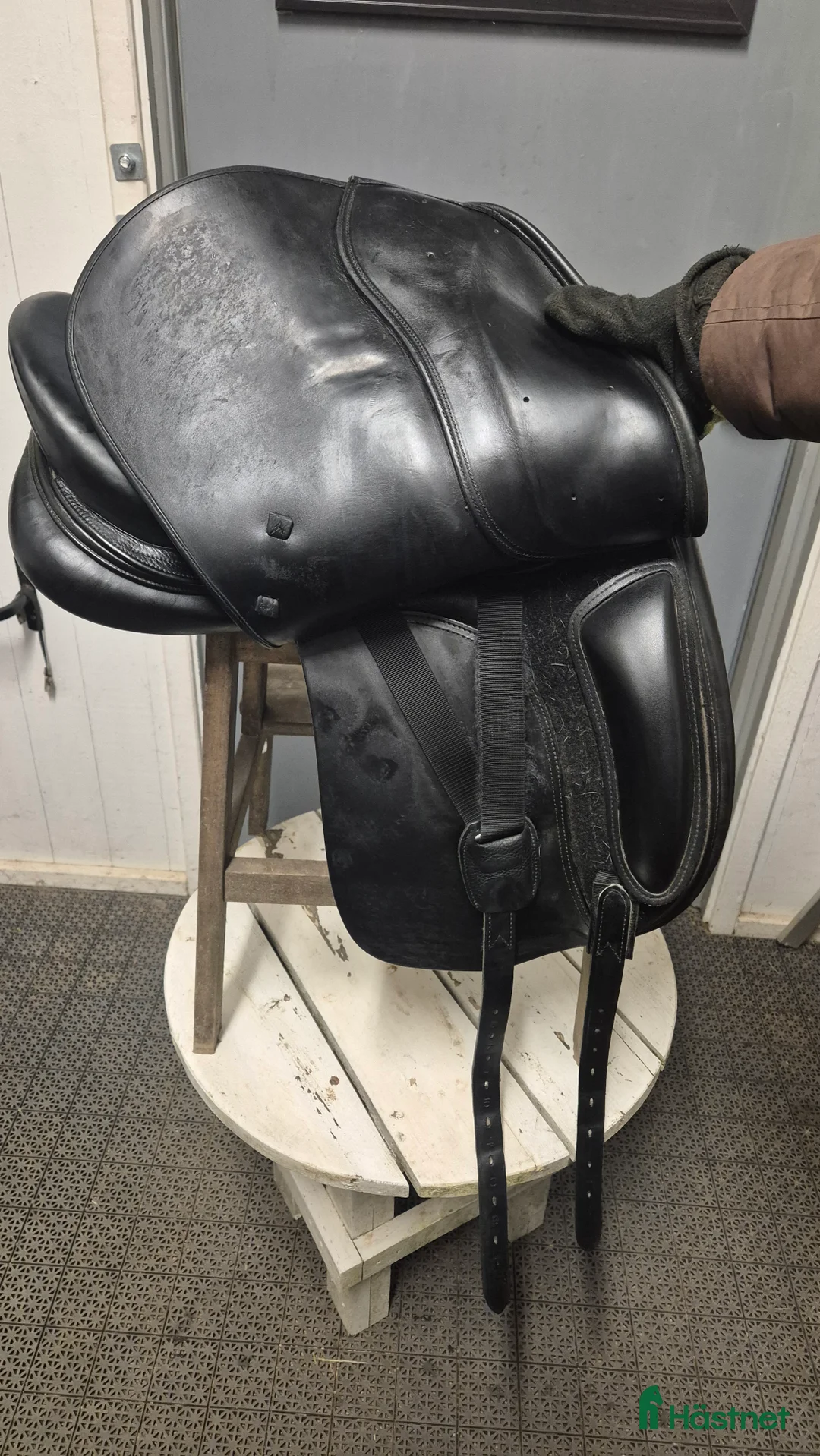 Sadlar hästutrustning till salu: Lippo Azzario Alto  i Halmstad - Annons 7