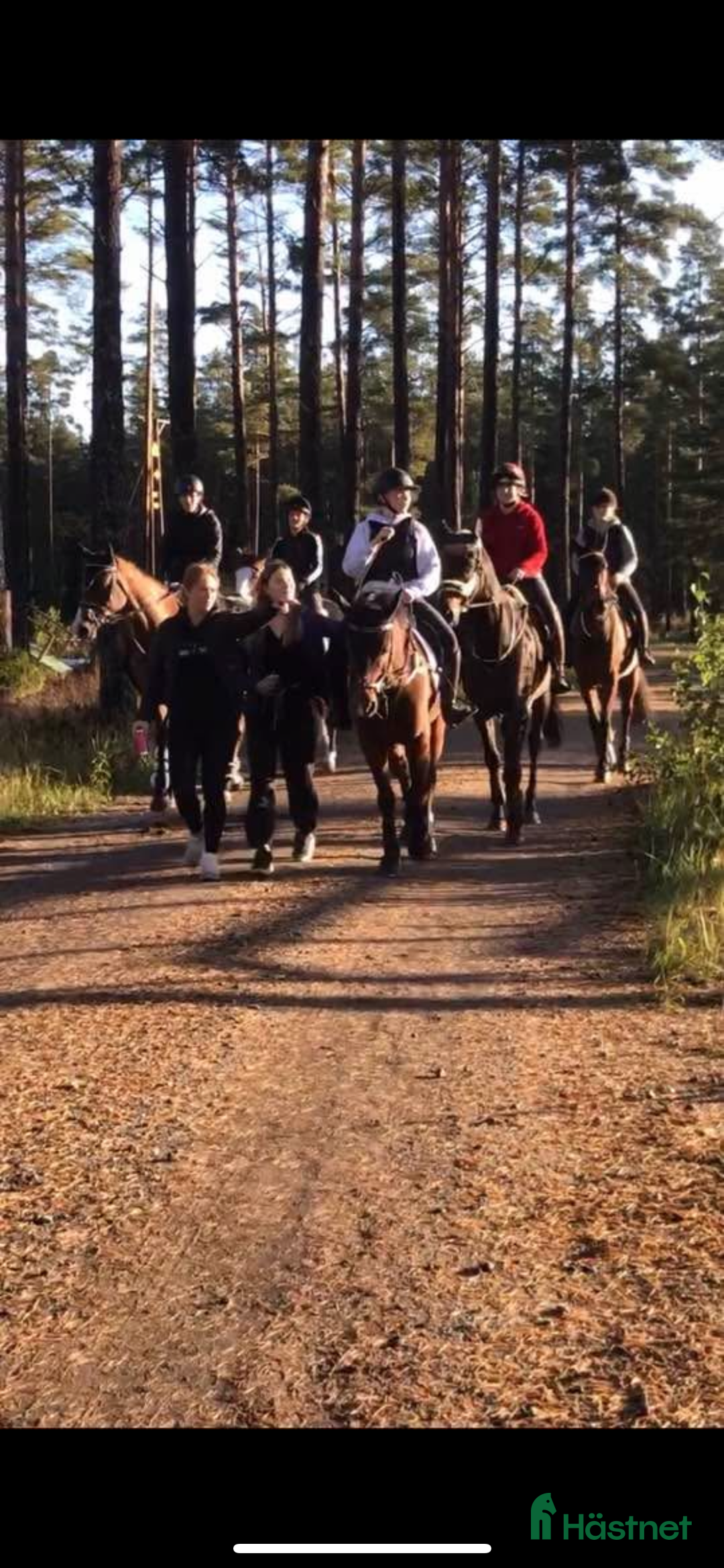  stallplats finnes: Stallplats i Grödinge, Botkyrka. i Grödinge - Annons 9